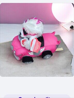 Poodle In Pink Car, Plays Song , Scroll To End 2 See Video Clip